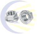 Stainless Steel Flange Nut (SS Flange Nut)