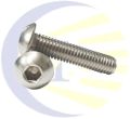 Stainless Steel Button Head Screw