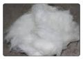 Loose Fiber