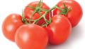 UN 330 F1 Tomato Seeds