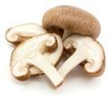 Mushroom wild morales Jammu quality number 1