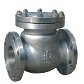 Check Valve Flanged End