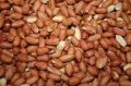 peanut kernels