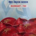 Red Onion Seeds