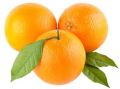 Orange (Malda Nagpur)