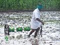 Direct Rice seeding machine