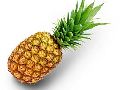 Fresh Pineapple