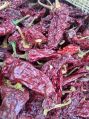 Organic Kashmiri Red Chilli