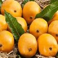 alphonso mango