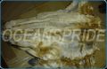 Dried and Salted Cat fish