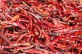 Byadgi Dry Red Chilli
