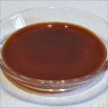 Brown Liquid saumix starch