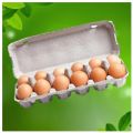 12 Egg Carton