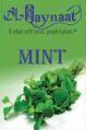 Alqaynaat Mint Flavored Hookah