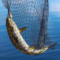 Nylon Multicolor fishing net