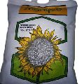 Hybrid Sunflower Seeds