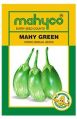 MAHY Green Hybrid Brinjal Seeds