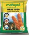 MRM 4060 Hybrid Maize Seeds