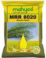 MRR 8020 Hybrid Mustard Seeds