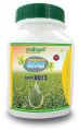 Shraddha MRR 8012 Hybrid Mustard Seeds