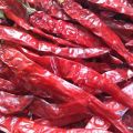 Indian Dried Red Chilli