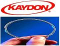 Kaydon Thin Section Bearing