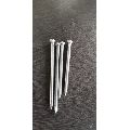 Stainless Steel round head wire nails