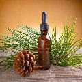 Natural Pine Essential Oil