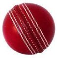 Round 160 gm red cricket leather ball