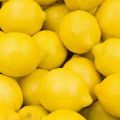 Fresh Juicy Lemon