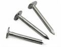 Stainless Steel Roofing Nail