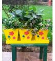 Square herb planter set with tray in Yellow