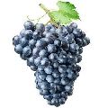 Fresh Organic Black Grapes