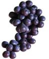 Fresh Thin Skin Black Grapes