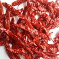 guntur dry red chilli