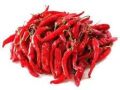 Longi Dry Red Chilli