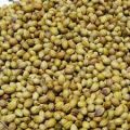 indian coriander seeds