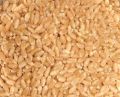 Nutrition Wheat Seeds