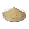soya protein hydrolysate powder