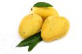 Fresh Baneshan Mango
