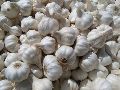 Fresh Ooty Garlic