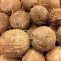farm fresh coconut