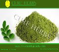 Moringa Dry Leaf Powder