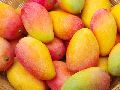 Fresh Sinduri Mango
