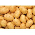Fresh Export Quality Potato