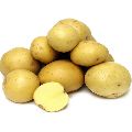 Pukharaj potato
