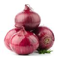 Export Quality Best Grade Onions in 3 KG 5 KG Red Mesh Bag Packing