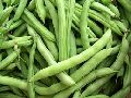Fresh Long Green Beans