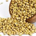 coriander seeds