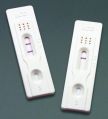 Urine Pregnancy Test Kit